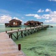 旅游客运业务 连接风景与游客的桥梁